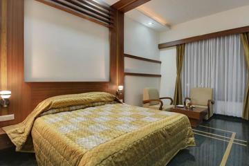 Отель Inder Residency Индия, Удайпур, фото 11