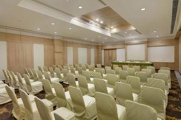 Отель Inder Residency Индия, Удайпур, фото 4