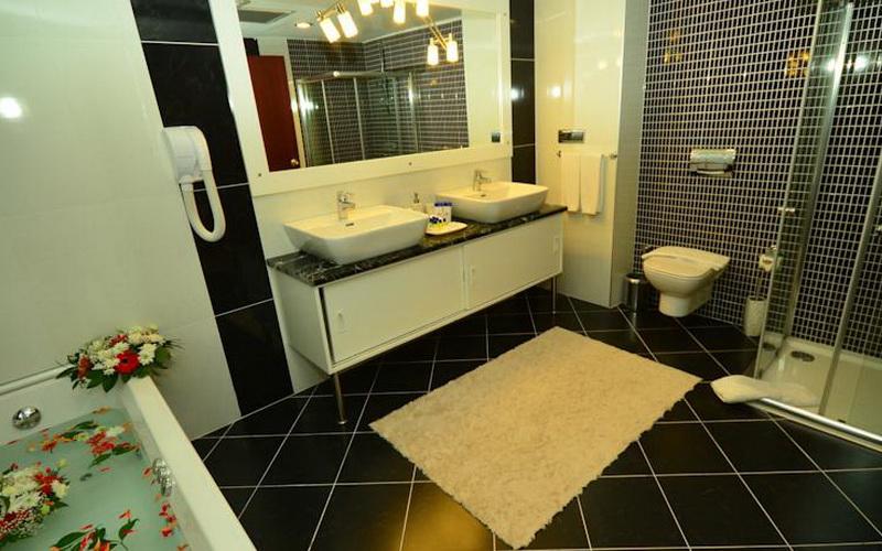 Anadolu Hotels Esenboga Thermal