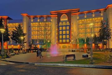 Отель Chinar Hotel & Spa Naftalan Азербайджан, Нафталан, фото 25