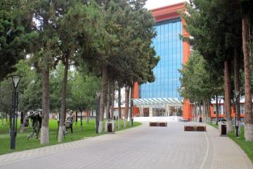 Отель Chinar Hotel & Spa Naftalan Азербайджан, Нафталан, фото 30