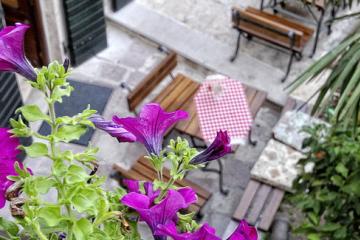 Отель Monte Cristo Черногория, Котор, фото 8