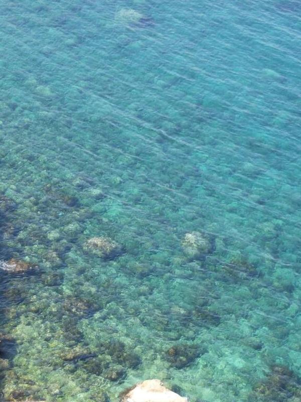 Sa Cala