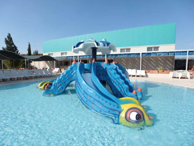 Cactus Paradise Club