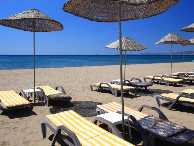 Cactus Paradise Club