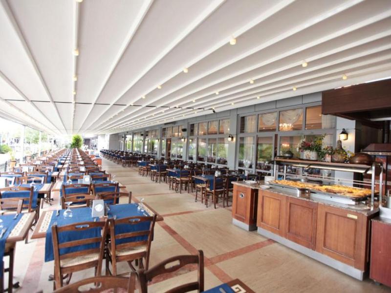 Cactus Paradise Club