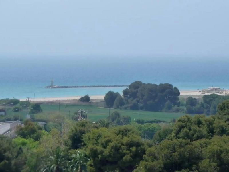 San Martin