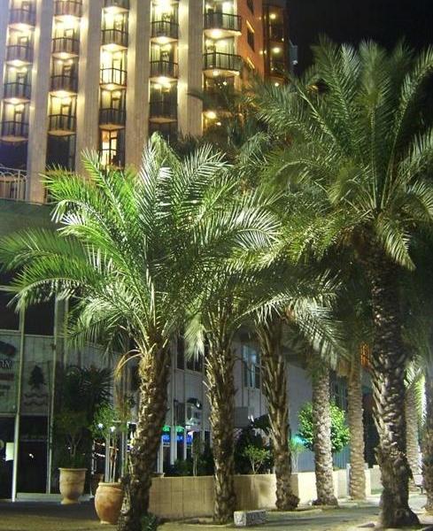 Caesar Premier Tiberias Hotel