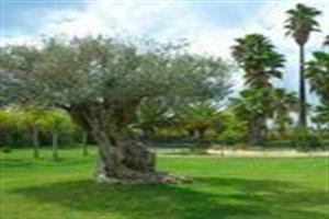 Valencia Golf