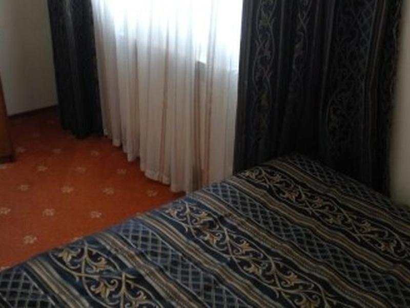 Hotel Sputnik Inn