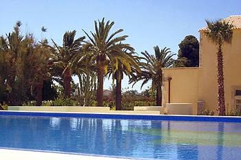 Caiammari