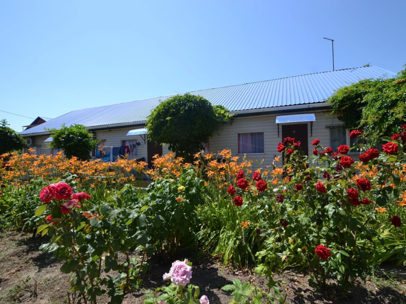 Дельфин база отдыха (Пересыпь)