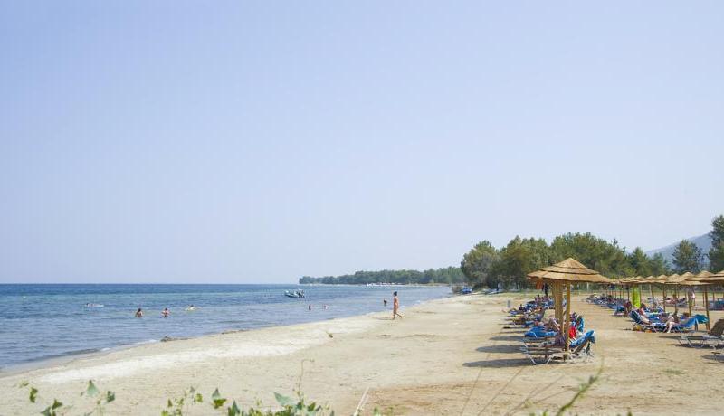 Alea Hotel & Suites