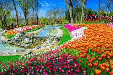 Отель Экскурсионная программа Турция Турция, , фото 9