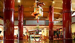 CITIC Hotel Beijing Airport