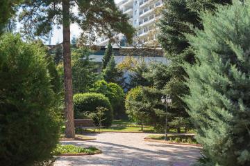 Отель Riviera Sunrise Resort & Spa Россия, Алушта, фото 12