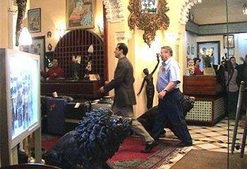 Отель Transatlantique Марокко, Касабланка, фото 59