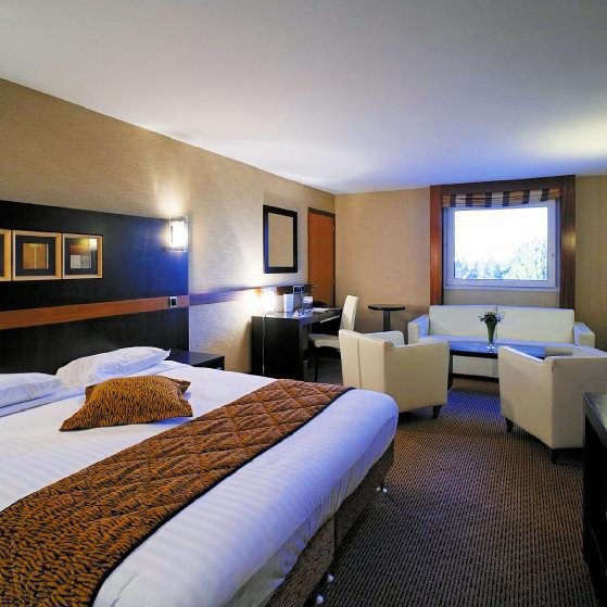 Radisson Blu Hotel Paris Charles De Gaulle Airport