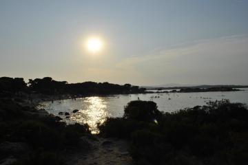 Отель 4-You Hotel Apartments Греция, Халкидики-Ситония, фото 13