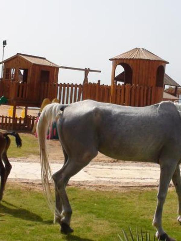 Sayadeen Village Red Sea Riviera