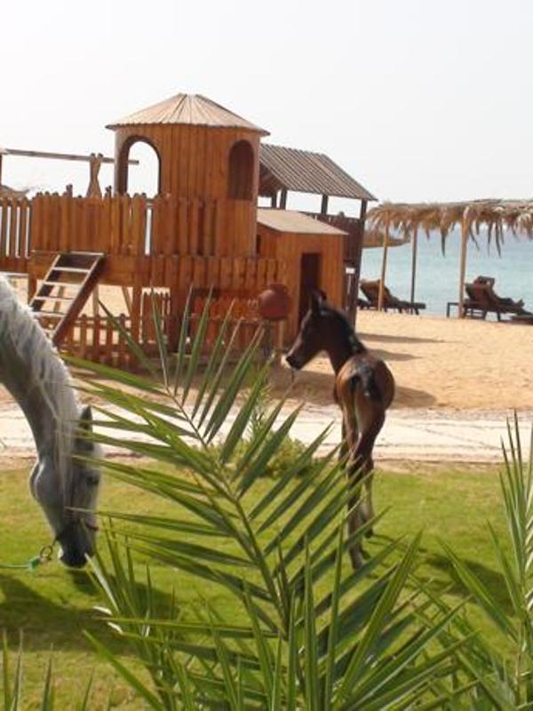 Sayadeen Village Red Sea Riviera