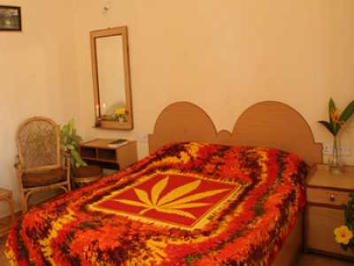 Alcove Resorts