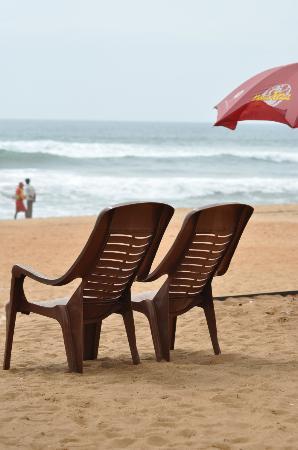 Alcove Resorts