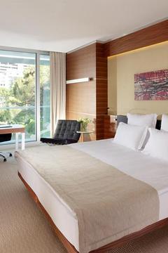 Отель Swissotel Buyuk Efes Турция, Измир, фото 2