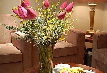 Отель Dijon Hotel Shanghai Hongqiao Airport Китай, Шанхай, фото 6