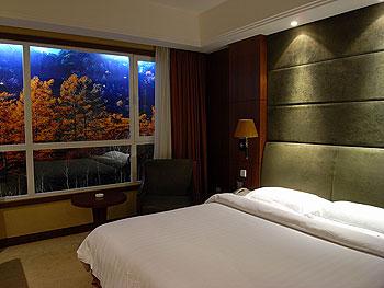 Jialong Sunny Hotel