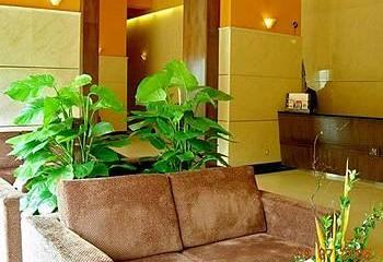 Отель Magnificent International Hotel Китай, Шанхай, фото 3