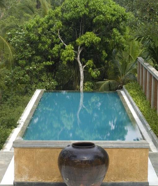 Tamarind Hill