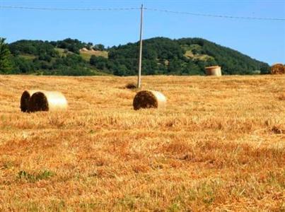 La Tavola dei Cavalieri