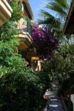 Отель Canada Hotel & Bungalows Турция, Кемер, фото 10