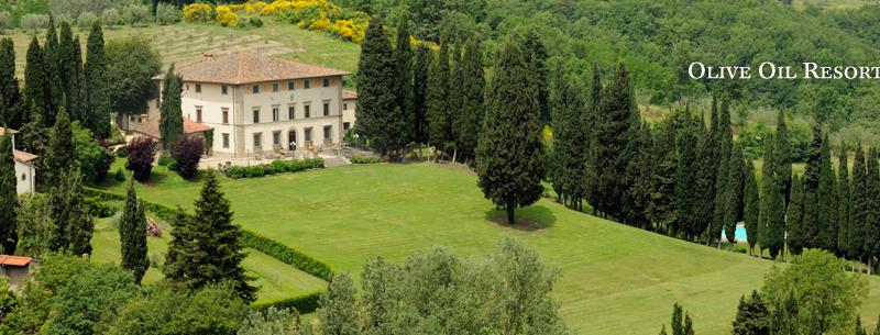 Villa Campestri Olive Oil