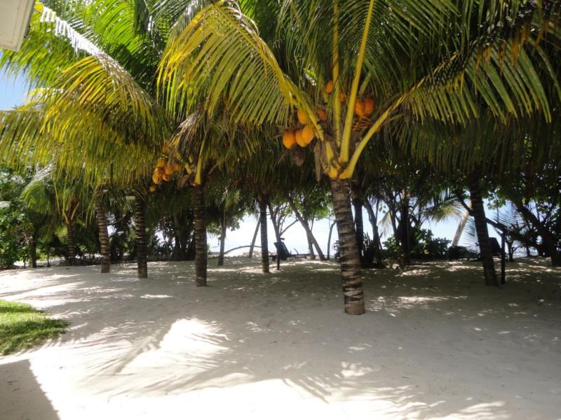 Cap Jean Marie Chalets