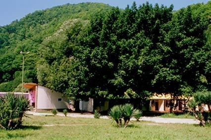 Атлант Детский Лагерь