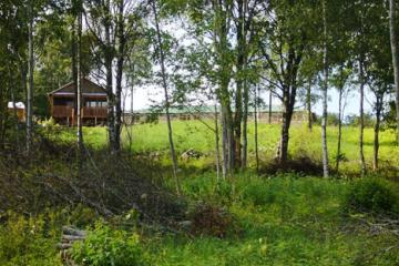 Отель Марциальные ключи Россия, Карелия, фото 8