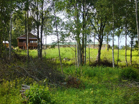 Марциальные ключи