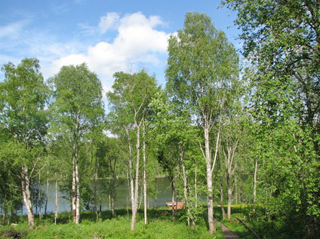 Марциальные ключи