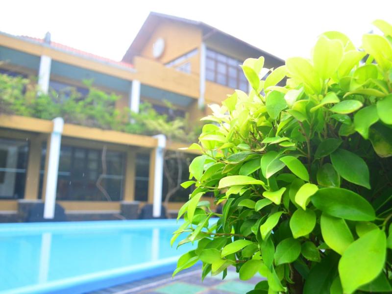 Ocean Dreams