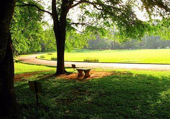 Randholee Luxury Resort