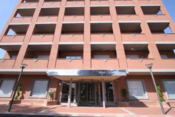 Отель Best Western Hotel I Triangoli Италия, Рим, фото 13