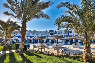Отель Coral Sun Beach Египет, Сафага, фото 19