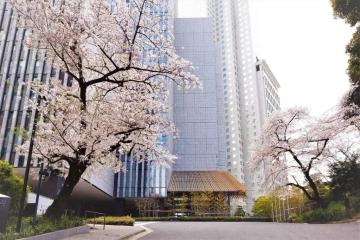 Отель Capitol Tokyu Япония, Токио, фото 26