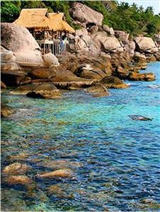 Koh Tao Bamboo Huts
