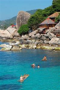 Koh Tao Bamboo Huts