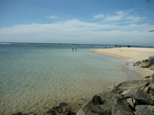 Polhena Reef Garden