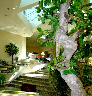 NaturMed Hotel Carbona