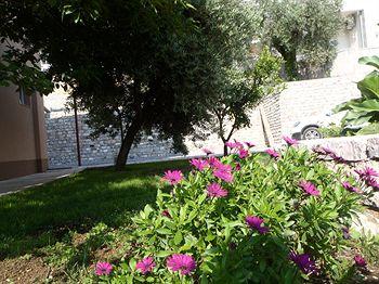 Apartments Djurasevic